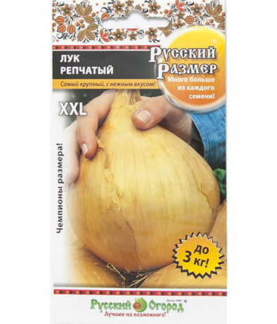 Изображение Лук Русский размер