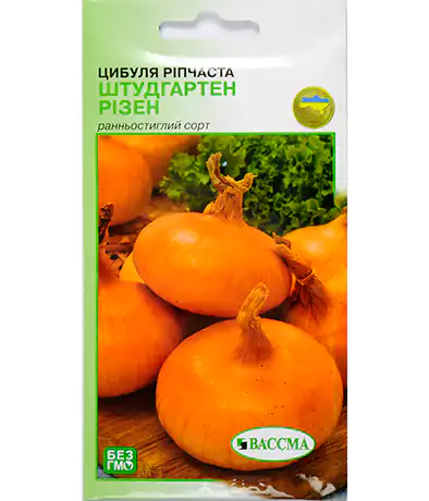 Лук Штутгартен Ризен