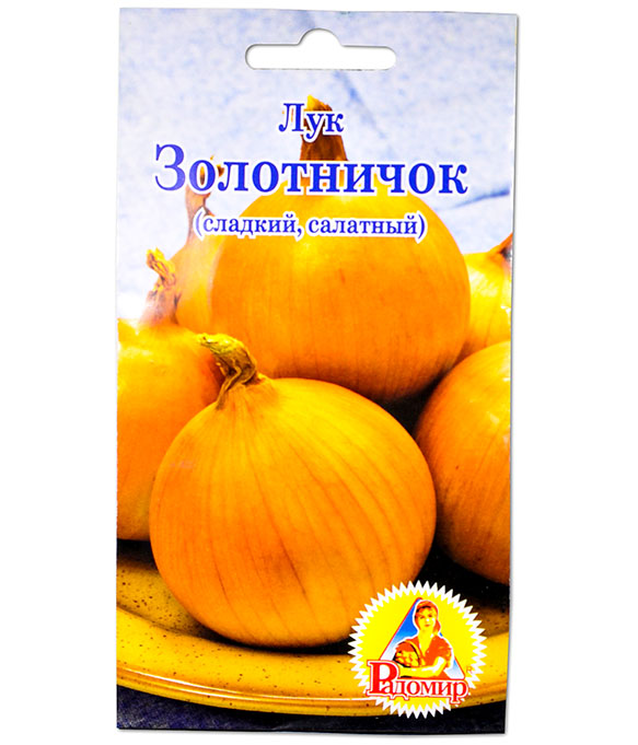 Изображение Лук Золотничок репчатый