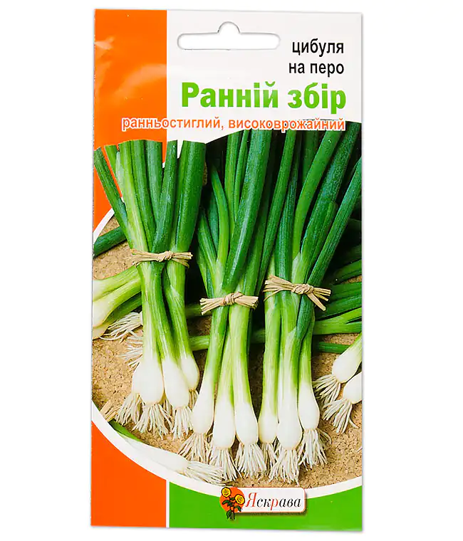 Лук на перо Ранний сбор