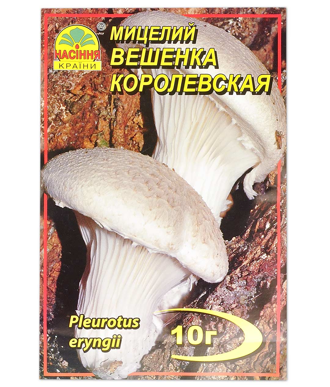 Изображение Мицелий грибов Вешенка Королевская