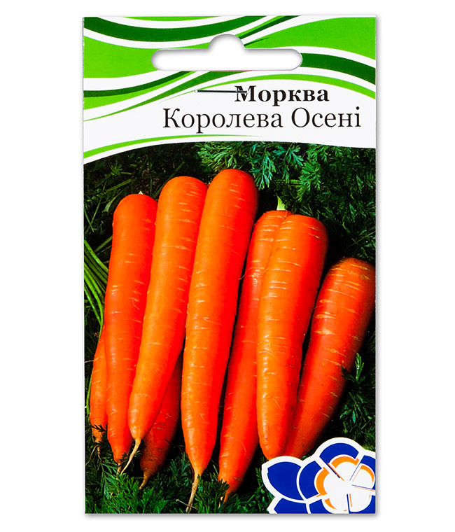 Изображение Морковь Королева Осени