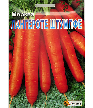 Изображение Морковь Ланге-Роте Штумпфе