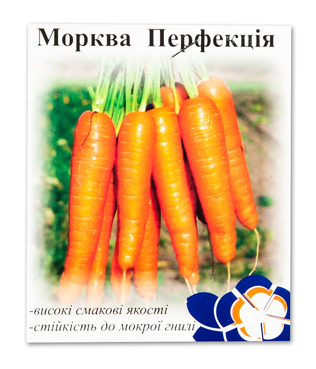 Изображение Морковь Перфекция