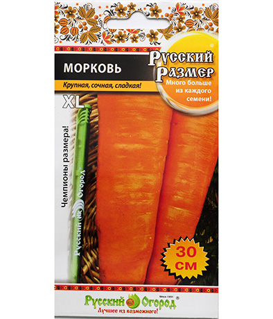 Изображение Морковь Русский размер