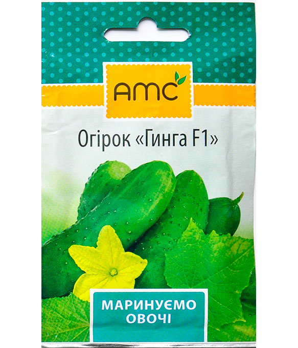 Изображение Огурец Гинга