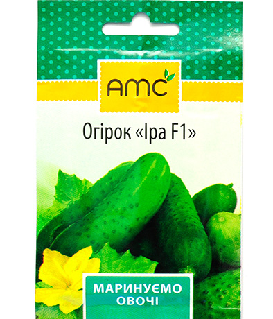 Изображение Огурец Ира
