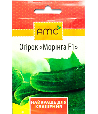 Изображение Огурец Моринга