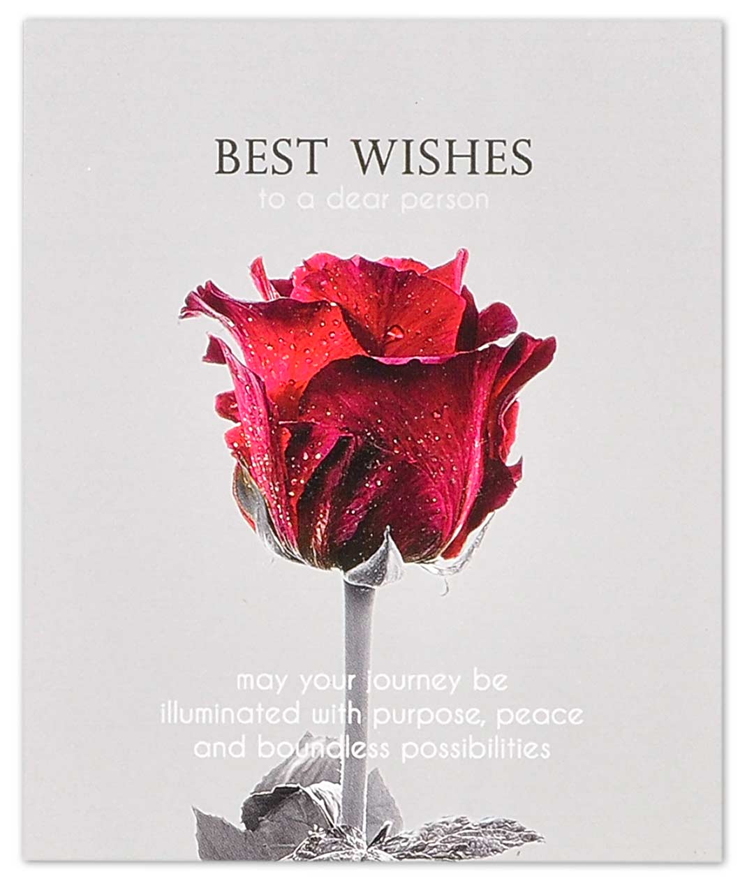Изображение Міні листівка «Best wishes» 11612 10шт.