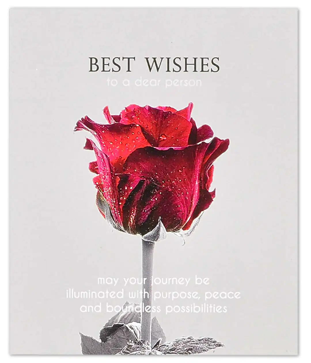 Мини открытка «Best wishes» 11612 10шт.