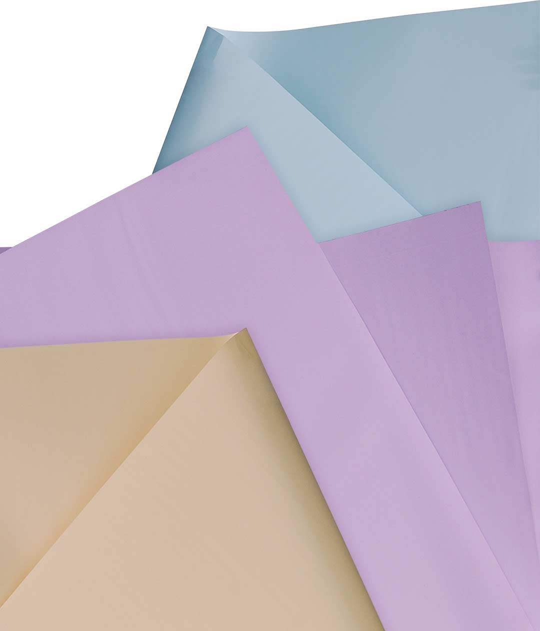 Изображение Калька для цветов «Pastel Elegance» кремовая 20 шт.