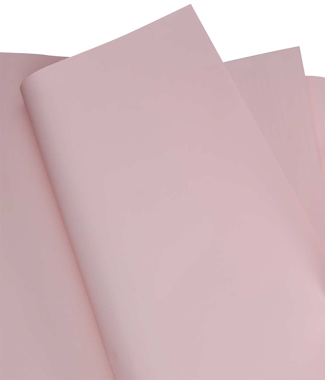 Изображение Калька для цветов «Pastel Elegance» розовый 20 шт.