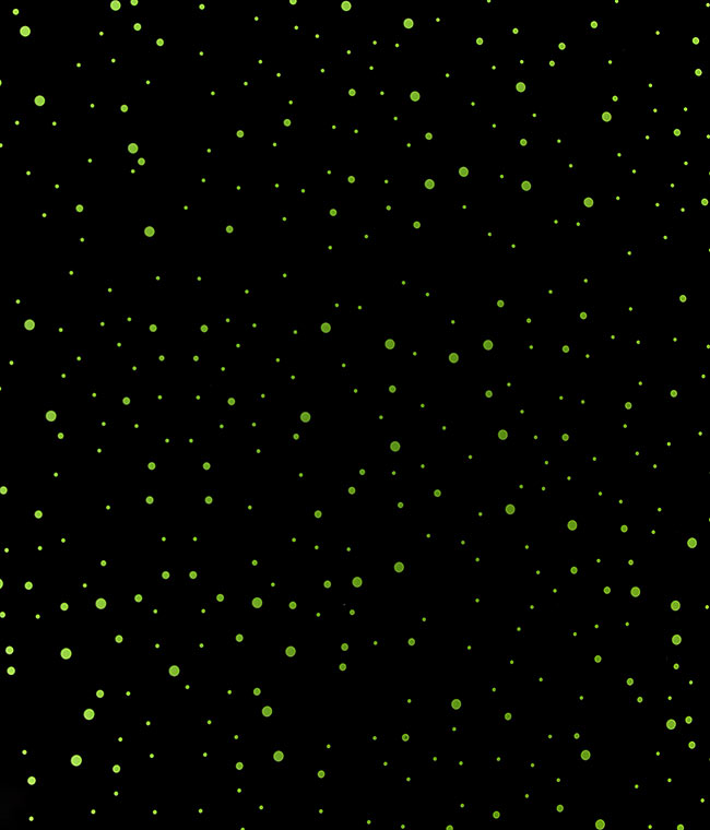 Изображение Пленка для цветов прозрачная с рисунком Горох зеленый 626