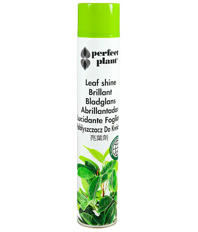 Изображение Полироль-блеск для комнатных растений Perfekt Plant