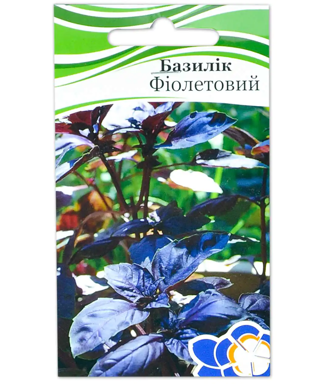 Изображение Базилик Фиолетовый