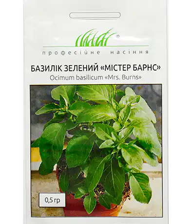 Изображение Базилик Мистер Барнс зелёный
