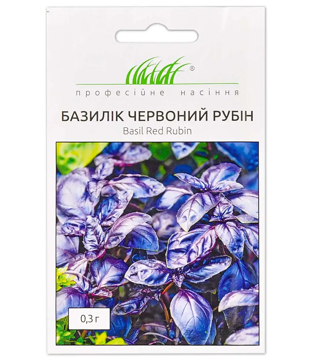 Базилік фіолетовий Червоний Рубін