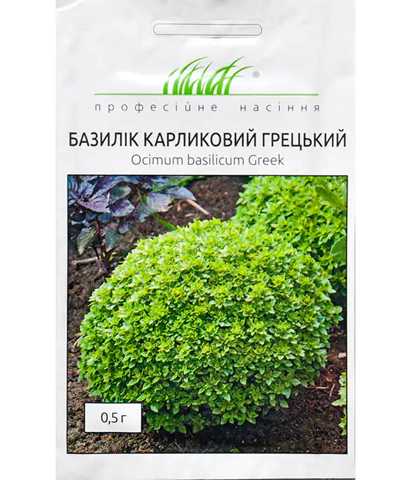 Базилік карликовий Грецький
