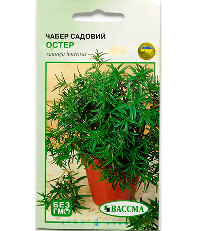 Чабер Остер садовый