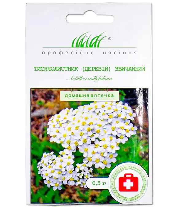 Цветы Тысячелистник (деревий)