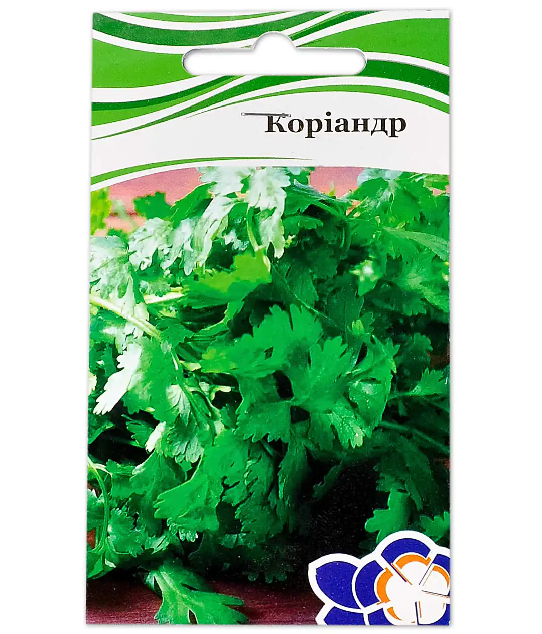 Изображение Кориандр