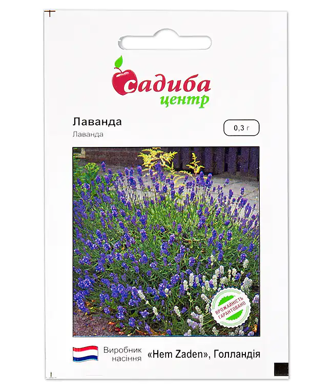 Изображение Лаванда
