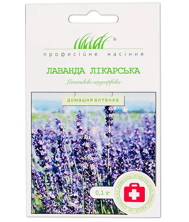 Лаванда лікарська