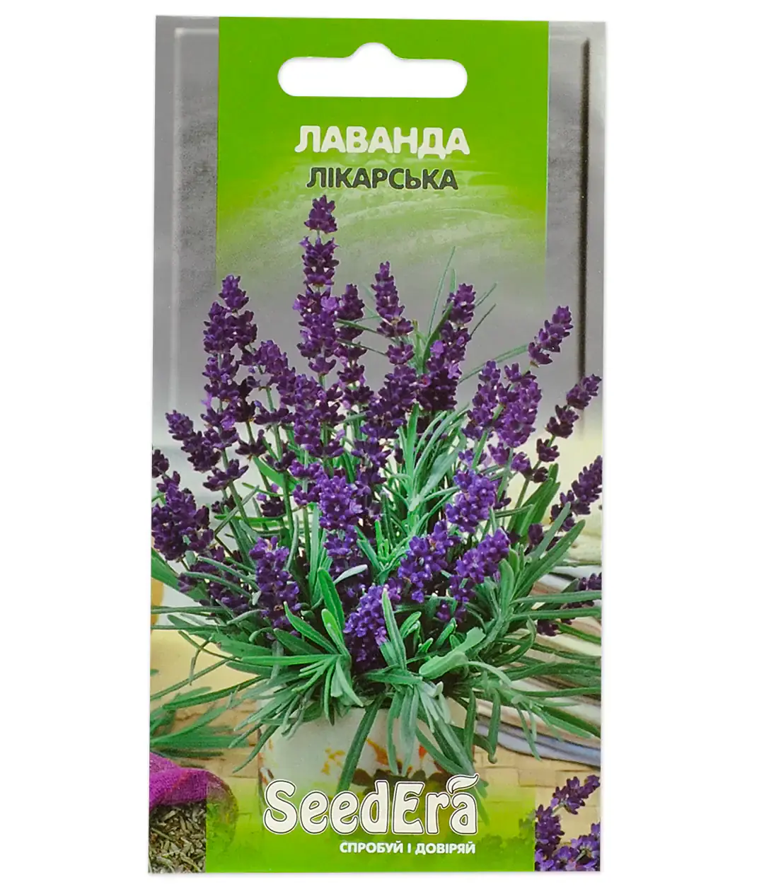 Изображение Лаванда лекарственная