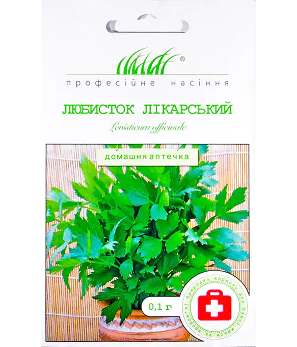 Любисток лікарський