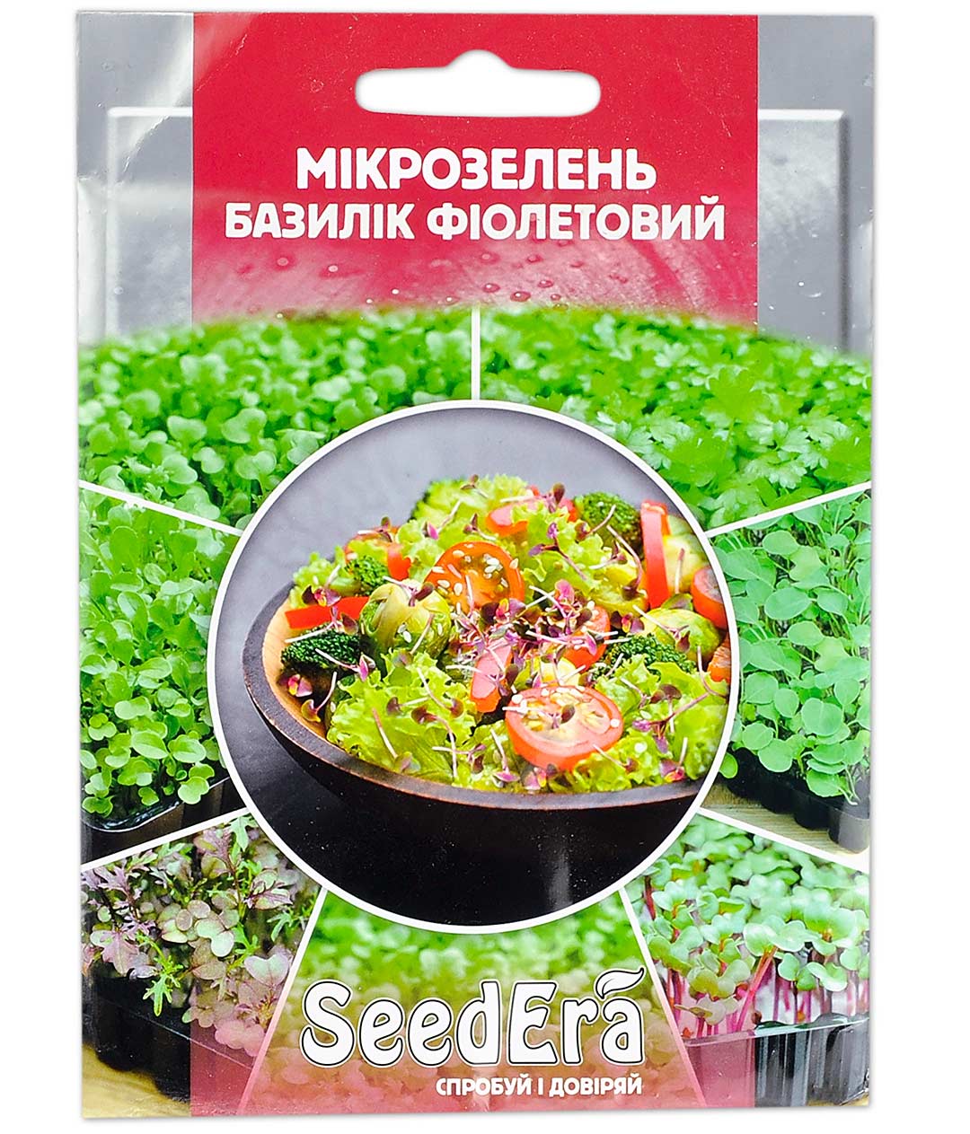 Изображение Микрозелень Базилик фиолетовый
