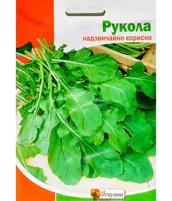 Рукола
