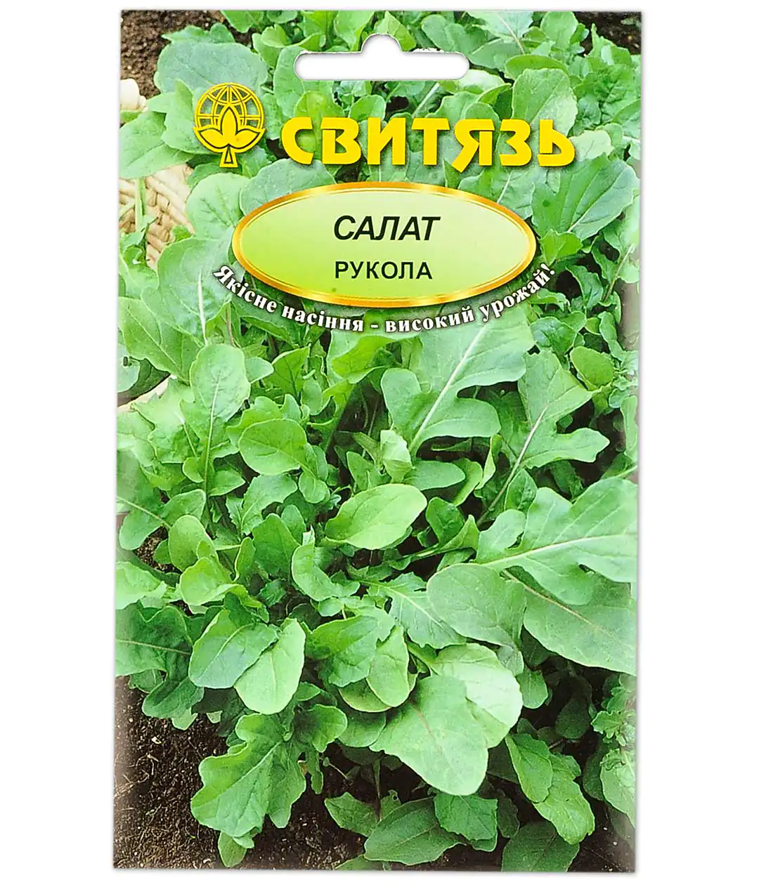 Рукола