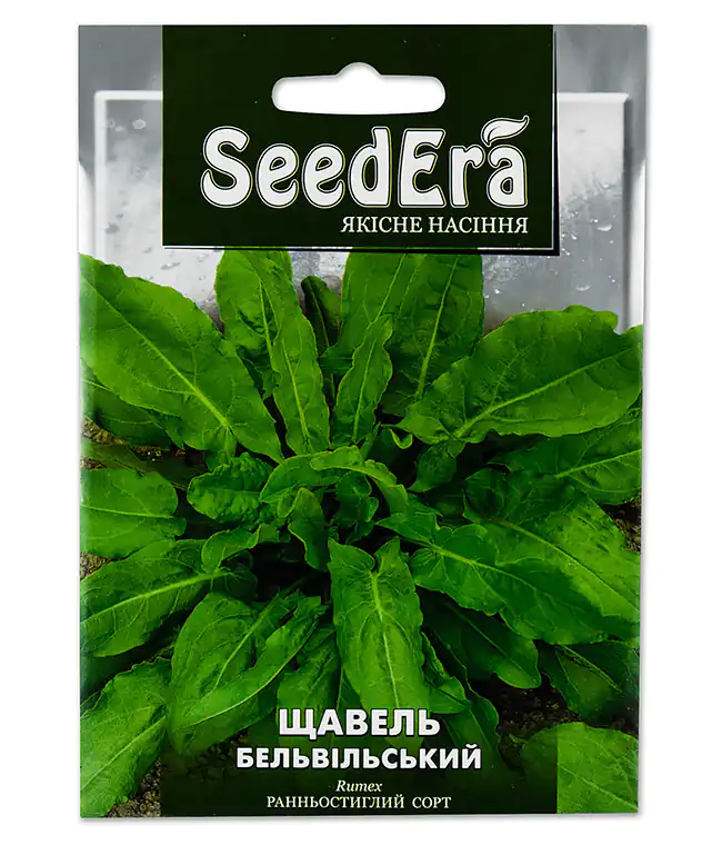 Щавель Бельвійський