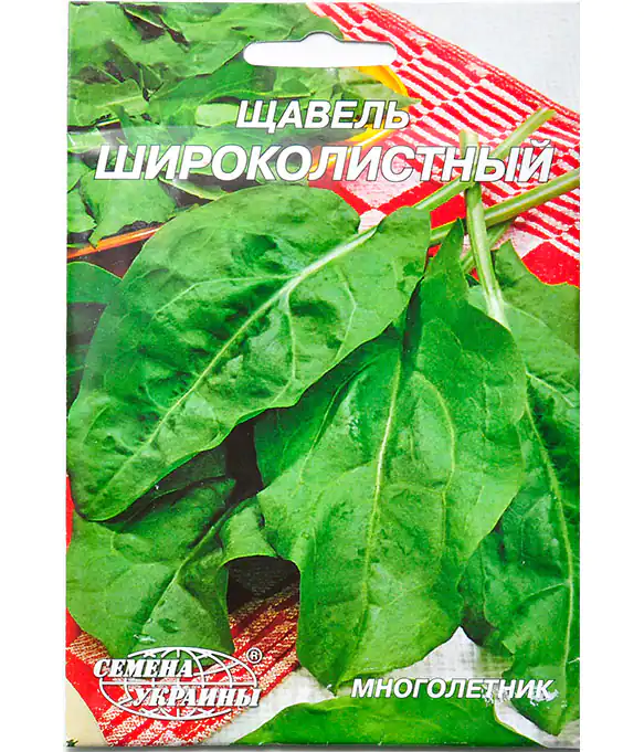 Изображение Щавель Широколистный