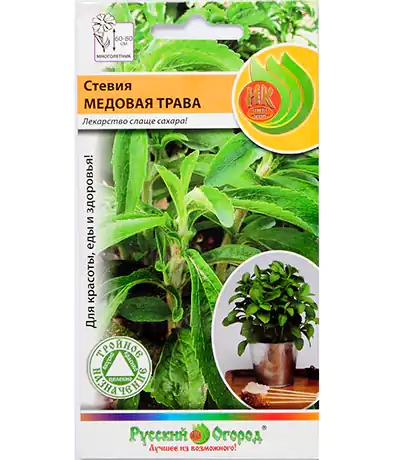 Стевия Медовая трава