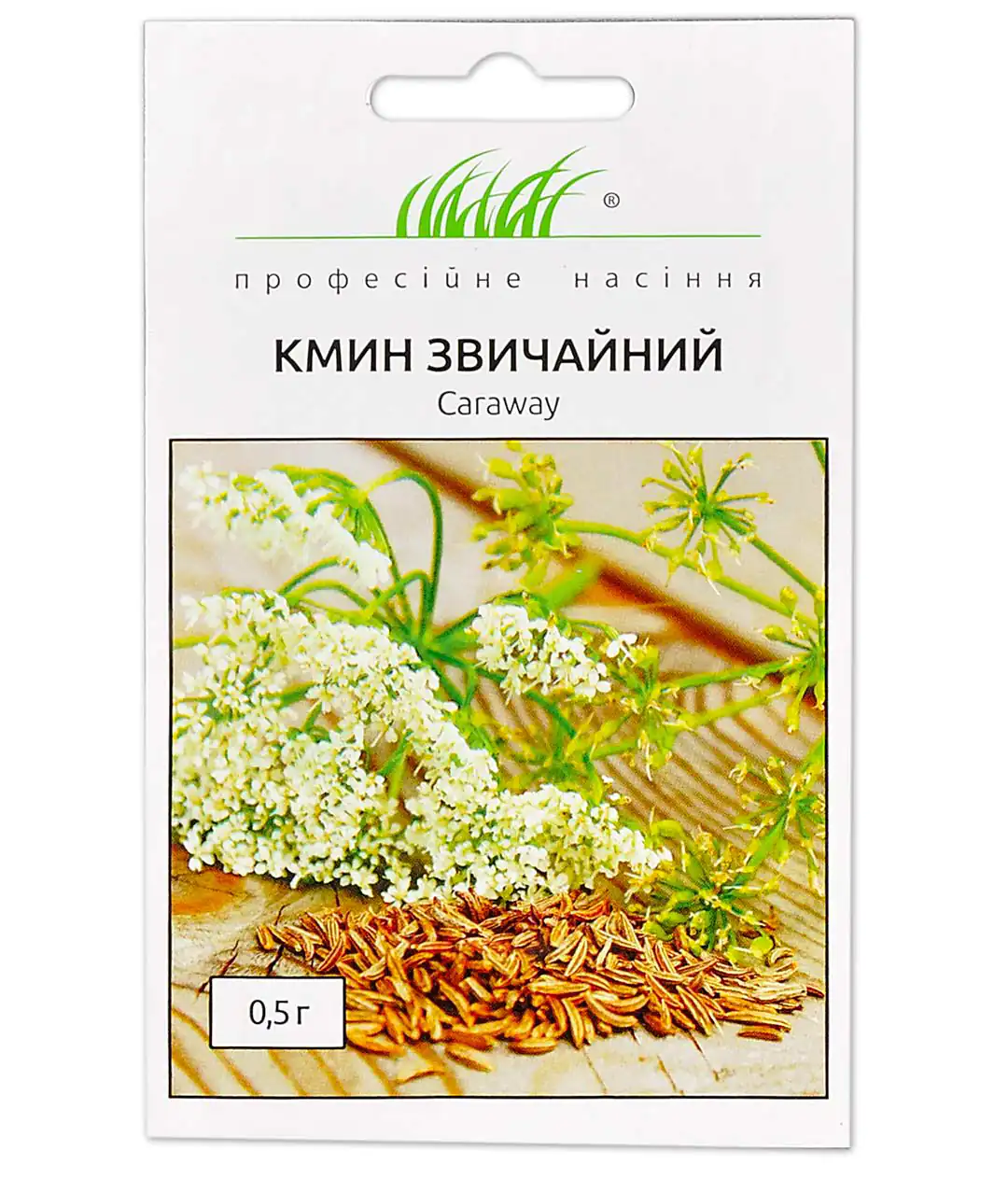 Изображение Тмин обыкновенный