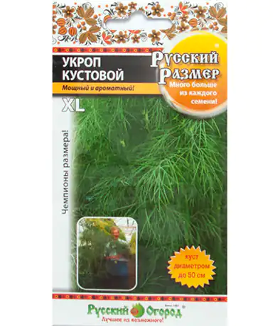 Укроп Кустовой