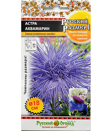Изображение Семена цветов  Астра Аквамарин Русский размер
