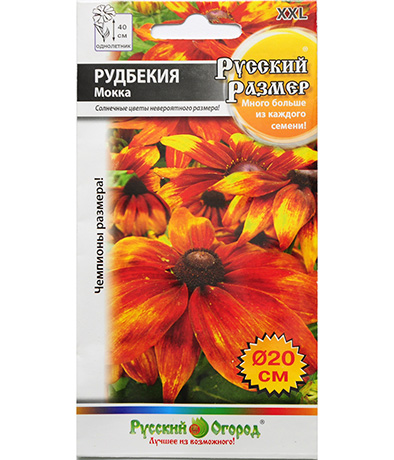 Изображение Семена цветов Рудбекия Мокка Русский размер 