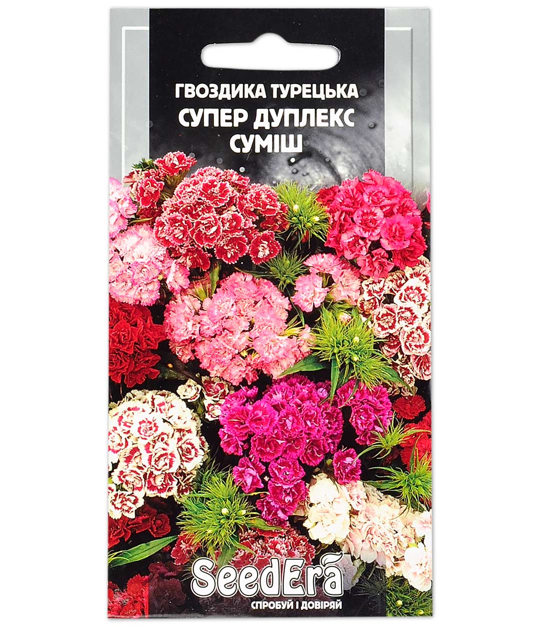 Изображение Семена цветов Гвоздика Турецкая Восторг