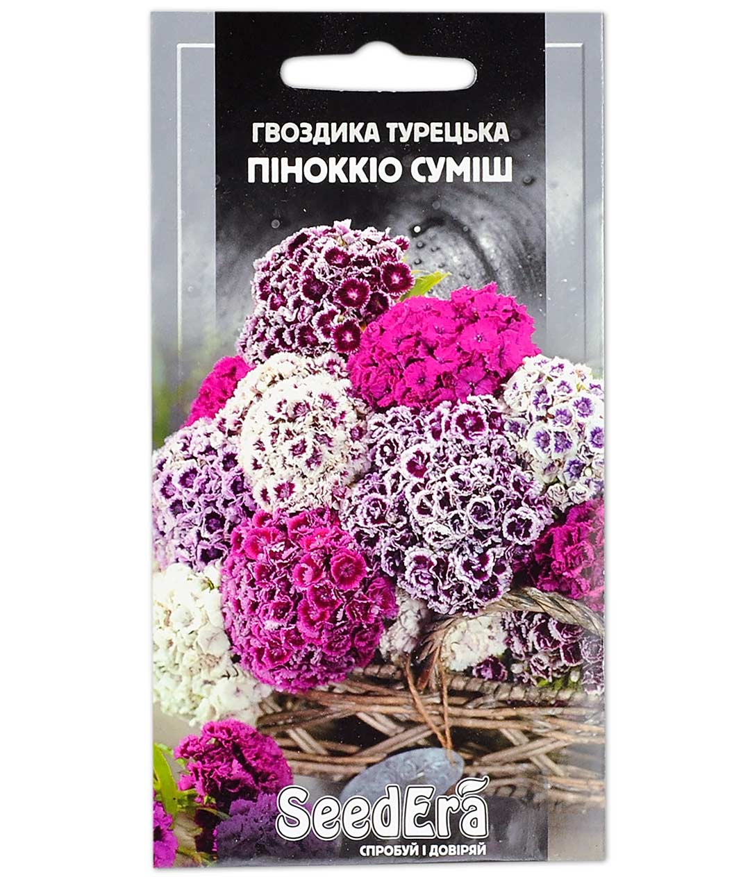 Изображение Гвоздика Турецкая Пиннокио