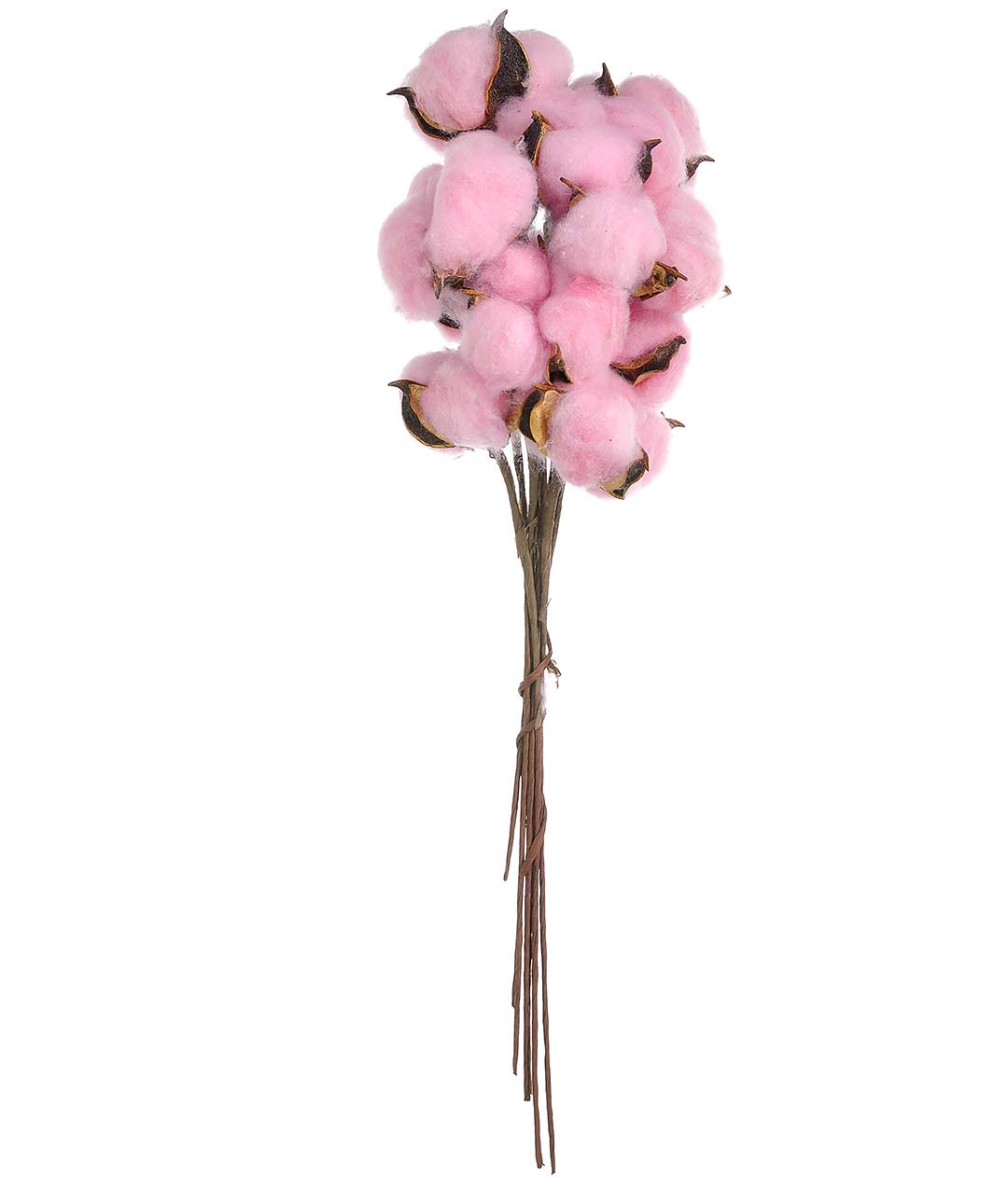 Изображение Бавовна сухоцвіт рожевий 10 шт.
