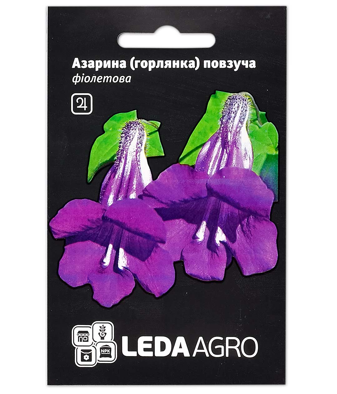Изображение Семена цветов Азарина(горлянка) фиолетовая