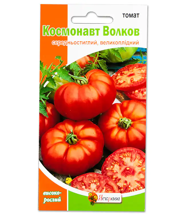 Томат Космонавт Волков