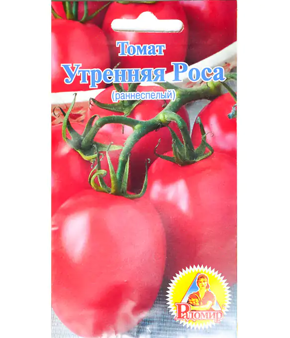 Томат Утренняя роса