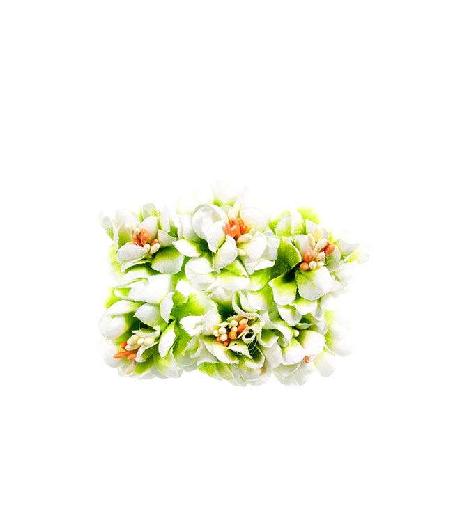 Изображение Хризантема мини бело-салатовая