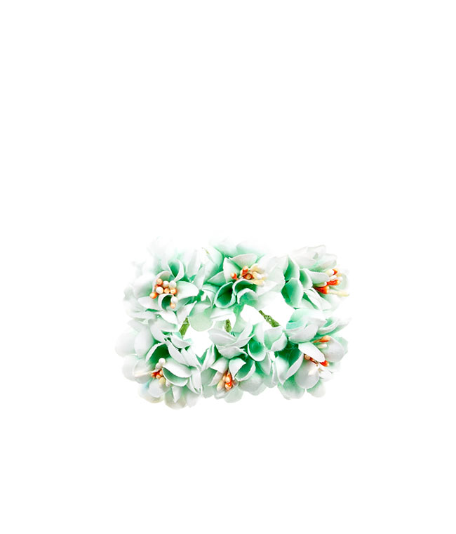 Изображение Хризантема мини бело-зеленая
