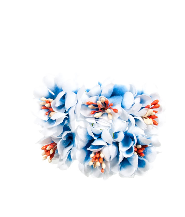 Изображение Хризантемы мини бело-голубые
