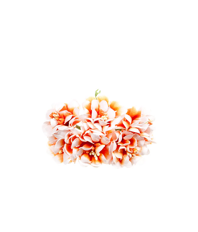 Изображение Хризантемы мини бело-оранжевые