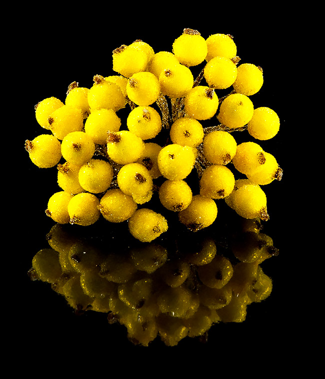 Изображение Калина міні жовта в цукрі 40шт.